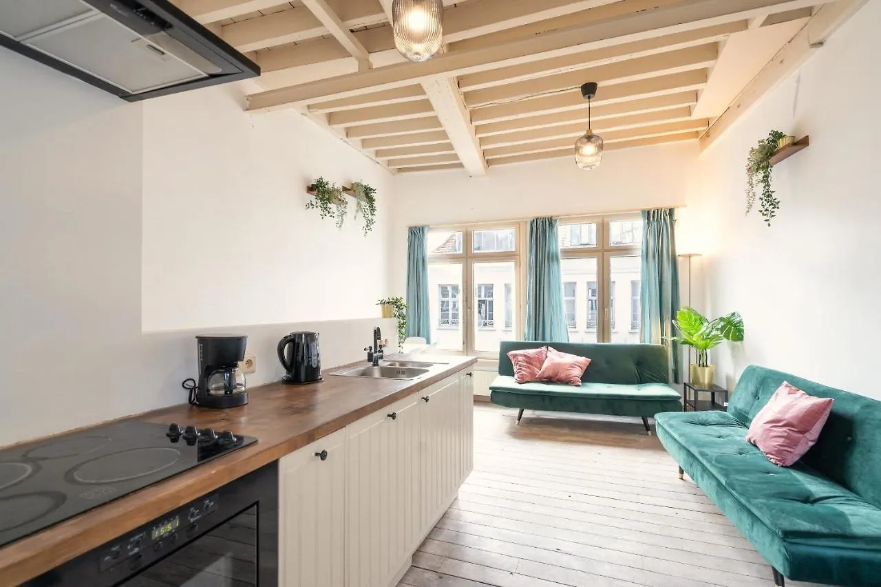 Tempel Triplex & Duplex At Historic Heart Of Antwerp Apartman