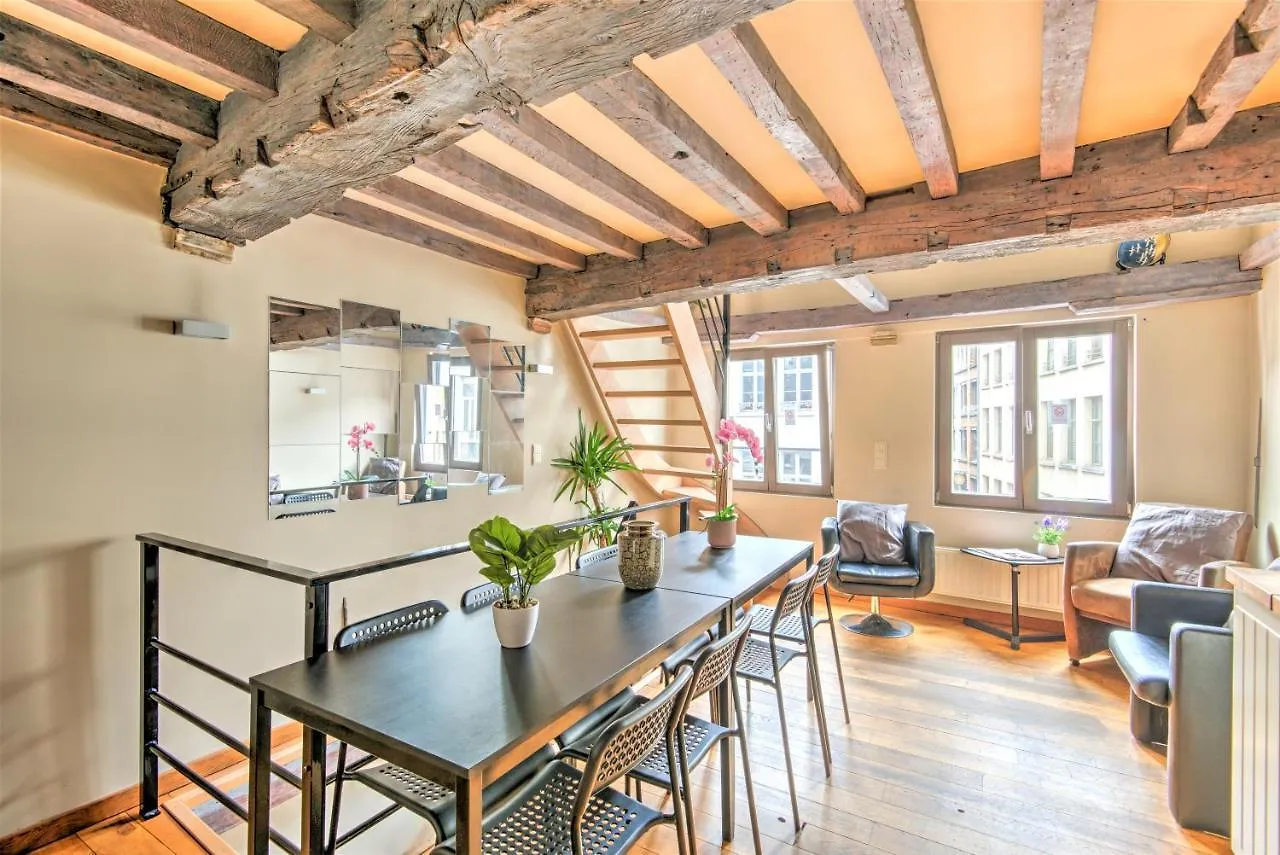 Tempel Triplex & Duplex At Historic Heart Of Antwerp Apartman 0*,