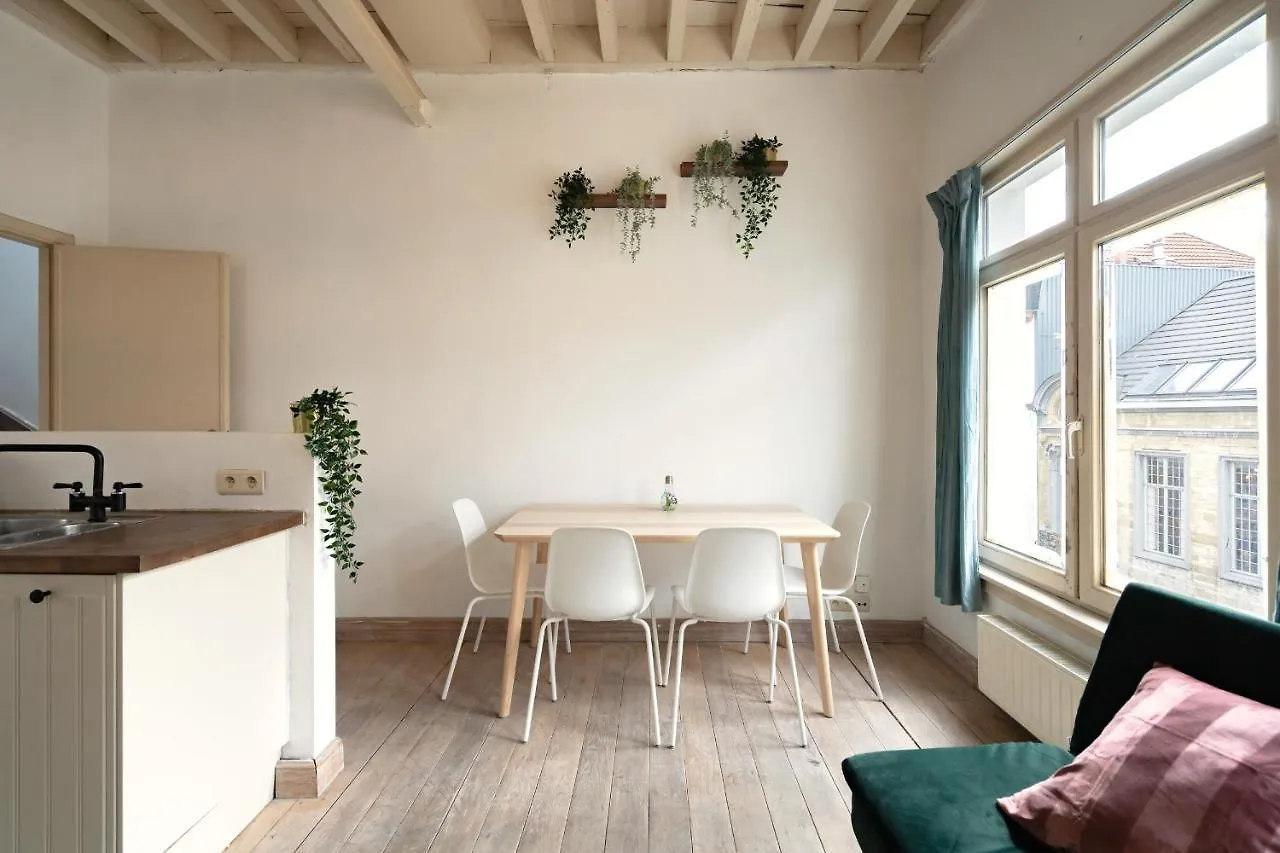 Tempel Triplex & Duplex At Historic Heart Of Antwerp Apartment