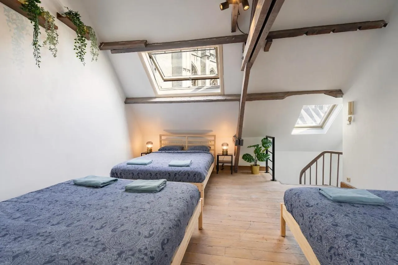 Tempel Triplex & Duplex At Historic Heart Of Antwerp Apartment