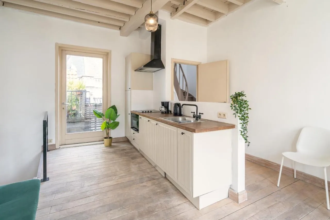 Tempel Triplex & Duplex At Historic Heart Of Antwerp Apartment