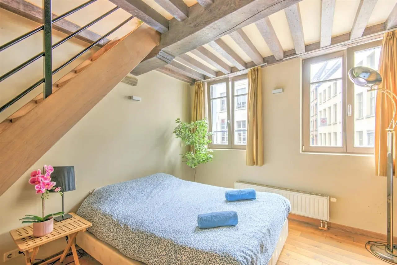 Tempel Triplex & Duplex At Historic Heart Of Antwerp Apartment